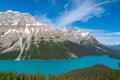 Beautiful Peyto Lake in Banff National Park along the Icefields Parkway in Alberta, Canada Royalty Free Stock Photo