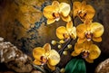 Beautiful Phalaenopsis orchid flowers. Home garden. Room interior decoration. design for wallpaper, banner, prints, invitation.