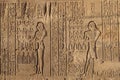 beautiful pharaonic wall carvings from kom ombo temple Royalty Free Stock Photo