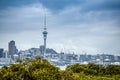 A beautiful photo of Auckland city with lots of cranes building appartment buildings