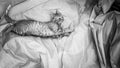 beautiful photo of kitten posing on a fabric with large folds, black and white photo