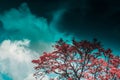 A beautiful photo of an orange leaf tree with storm vibes Royalty Free Stock Photo