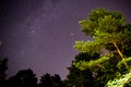 Beautiful photo with Perseids meteor shower and milky way in the sky.