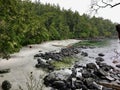 Beautiful photo of a picturesque rocky shoreline surrounded by evergreen forest and a vast ocean