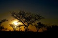 Beautiful Sunset at Welgevonden Game Reserve South Africa