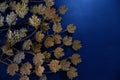 a beautiful photo of a wall-mounted artwork against a dark blue background