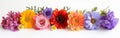 Vibrant Bouquet of Nine Colorful Flowers on White Background
