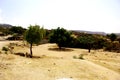 Beautiful photography of the natural panorama in Eritrea Royalty Free Stock Photo