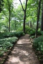 Path in a park. Hiking and sport. Landscape in summer. Trees and green. Nature in summer. Royalty Free Stock Photo