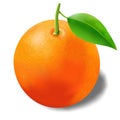 Beautiful photorealistic ripe and juicy orange with leaf Royalty Free Stock Photo