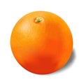 Beautiful photorealistic ripe and juicy orange