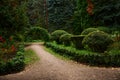 Beautiful photos of forests. Path in an amazing garden