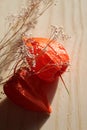 Beautiful physalis on a light background Royalty Free Stock Photo