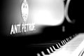 Beautiful piano keyboard with selective focus. B&W