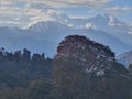 A beautiful picture of Annapurna Peaks, Poon Hill, Nepal Royalty Free Stock Photo