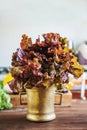 Beautiful picture of eating salad. Salad leaves in a bronze mortar on a stylish kitchen background. Background for text Royalty Free Stock Photo