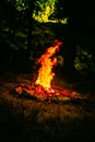 a beautiful picture of fire and natural Royalty Free Stock Photo