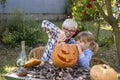 Beautiful picture of a grandmother with her grandchild making a Halloween pumpkin in the park