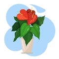 A beautiful picture of a houseplant. Anthurium. Colorful vector image