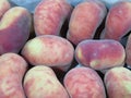 Beautiful picture of mature peaches of great taste and good color