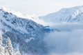 Beautiful picture of misty mountains with snowy firs under the sunlight