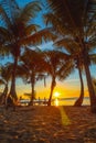 Beautiful picture of palms in a beach against a mesmerizing sunset and blue lagoon at daytime Royalty Free Stock Photo