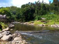 Beautiful picture, river with green forest and blue sky for background