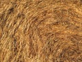 Beautiful picture of straw in the sun to dry Royalty Free Stock Photo