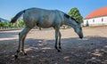 Beautiful picture of a white horse in Lipica stud farm, Slovenia Royalty Free Stock Photo