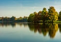 vibrant trees on the lake,autumn season Royalty Free Stock Photo