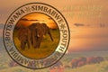 Africa sunset and sunrise with elephants and giraffes