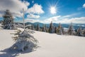 Beautiful picturesque landscape little snowy fir