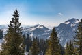 Beautiful and picturesque snowy mountains in the background, pine forest in front