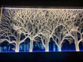 Lighted white trees with blue background picture