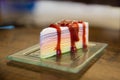 Beautiful Piece of Rainbow Layer Cake
