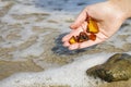 Beautiful pieces of amber in the hand of the sea background. A glowing wavy piece of amber in the palm of your hand. The