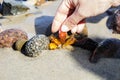 Beautiful pieces of amber in the hand of the sea background. A glowing wavy piece of amber in the palm of your hand. The