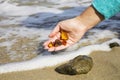 Beautiful pieces of amber in the hand of the sea background. A glowing wavy piece of amber in the palm of your hand. The