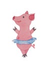 Beautiful pig or piggy ballerina dancing in a skirt with a tutu Royalty Free Stock Photo