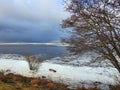 Trees and white ice pieces on Curonian spit shore, Lithuania Royalty Free Stock Photo