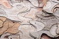 Beautiful Pine Bark Texture Close-Up Royalty Free Stock Photo