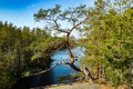 Beautiful pine on the rock and lake Lapinsalmi in the national park Repovesi, Finland