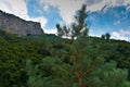 Beautiful pine tree against the backdrop of mountains and blue cloudy sky. Mountains of the North Caucasus Royalty Free Stock Photo