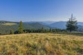 On a sunny summer day, the view from the plateau to the forest and mountains. Blue sky, lots of green grass and trees. Royalty Free Stock Photo