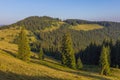 On a sunny summer day, the view from the plateau to the forest and mountains. Blue sky, lots of green grass and trees. Royalty Free Stock Photo