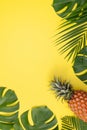 Beautiful pineapple on tropical palm monstera leaves isolated on bright pastel yellow background