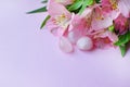 Beautiful pink alstroemeria flowers and semi-precious stones rose quartz lie on a pink background. Copy space