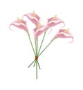 Beautiful Pink Anthurium Bouquet or Flamingo Bouquet