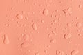 Beautiful pink background with water drops.