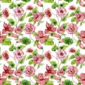 Beautiful pink begonia flowers with leaves on white background. Seamless floral pattern. Hand painted watercolor illustration.